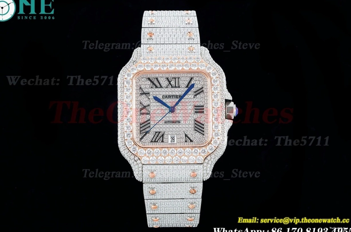 AMG 40mm Mens RG Rmn Dia SS XL MY9015 Santos 100 SS 0415